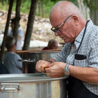 Festival žetve 2025. - Šarića Dabio