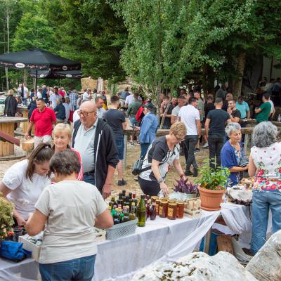 Festival žetve 2025. - Šarića Dabio