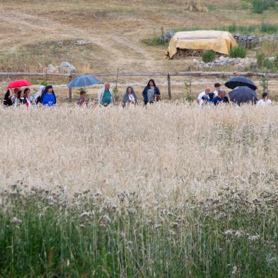 Festival žetve 2025. - Šarića Dabio