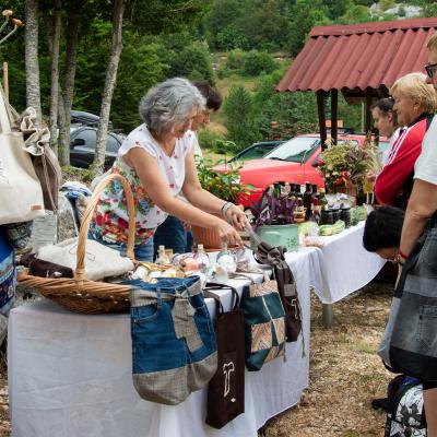 Festival žetve 2025. - Šarića Dabio