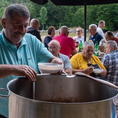 Festival žetve 2025. - Šarića Dabio