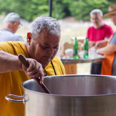 Festival žetve 2025. - Šarića Dabio