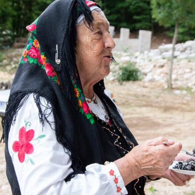Festival žetve 2025. - Šarića Dabio