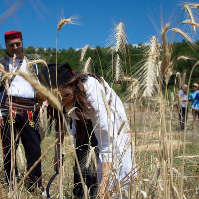 Festival Zetve 2022 013