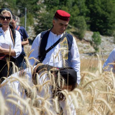 Festival Zetve 2022 014