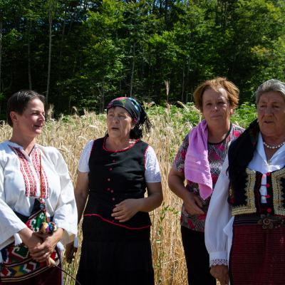 Festival Zetve 2023 001